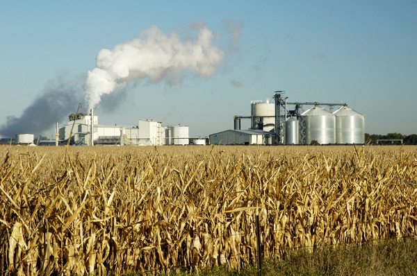 Ethanol comes from processed corn grown from crops, starch, and agricultural feedstocks