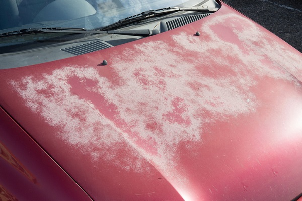 3 Ways To Safely Remove Tree Sap From Your Car With Stuff You